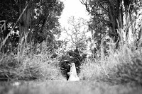 David Long Photography 1089457 Image 2